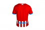 Camiseta Jugador Primera Equipacion 24-25