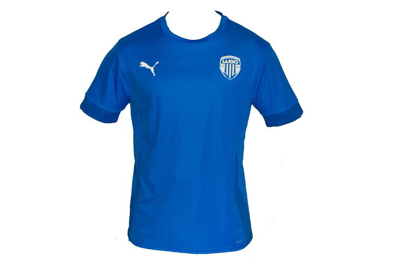 Camiseta Entrenamiento Jugador 24-25